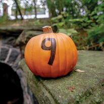 pumpkin sitting on a concrete wall with the number 9 on it.