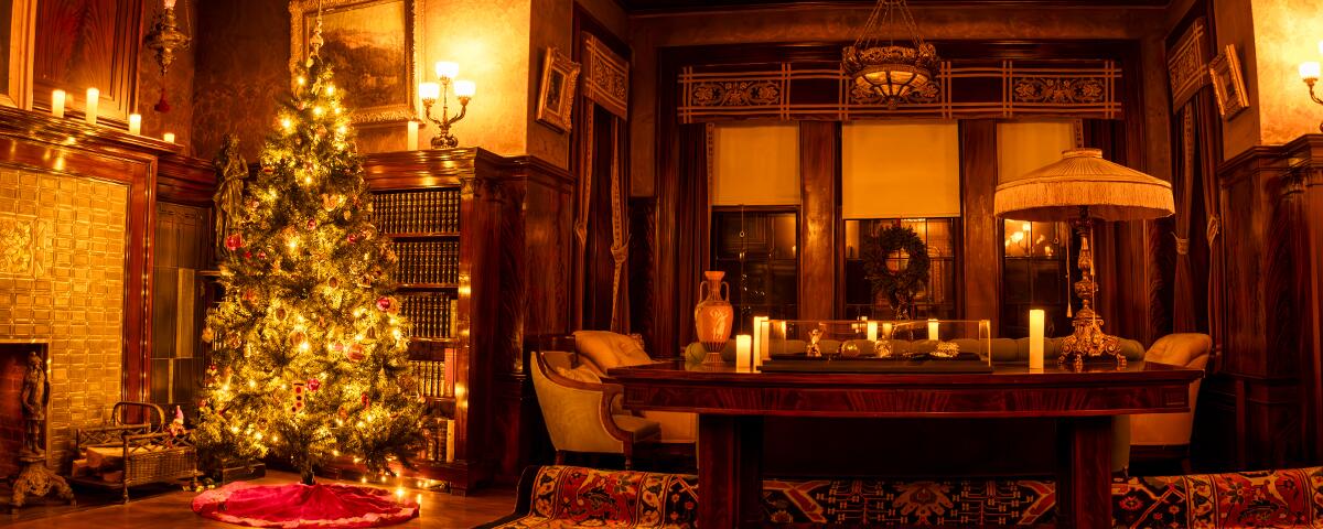the library christmas tree, large wooden table with a lamp and ornate seating behind it.