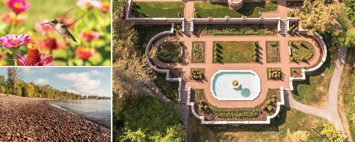 hummingbird by flowers, rocky lakeshore, view of formal garden from above.