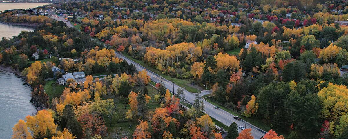 colorful fall trees along a straight road.