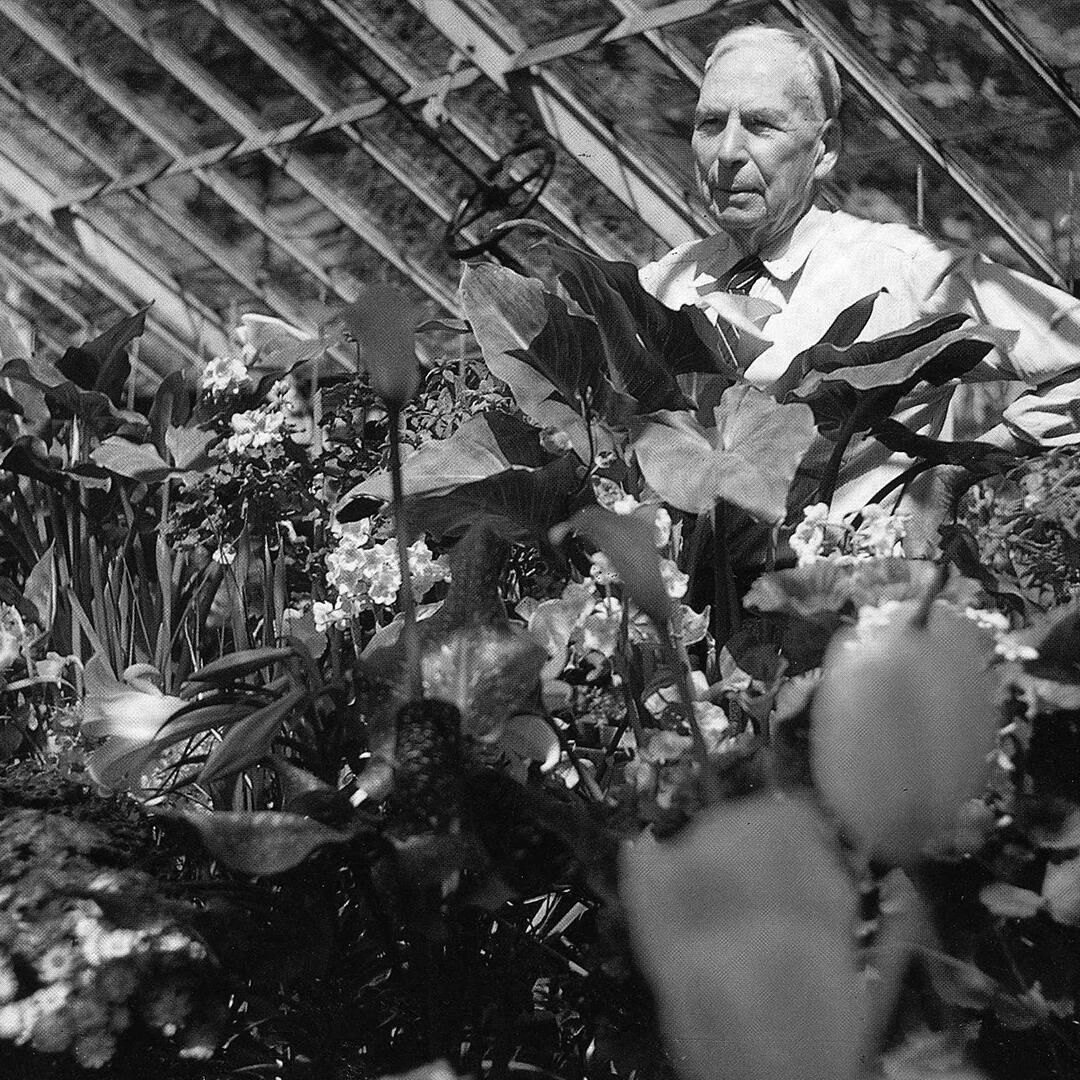 Bob Wyness overlooking his garden of veggies and flowers in a greenhouse.