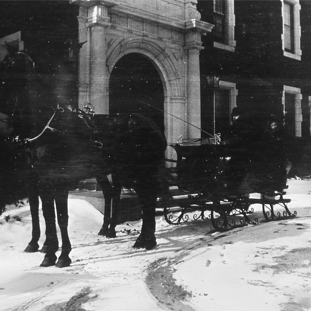 two people in a sleigh with a horse in front of the mansion