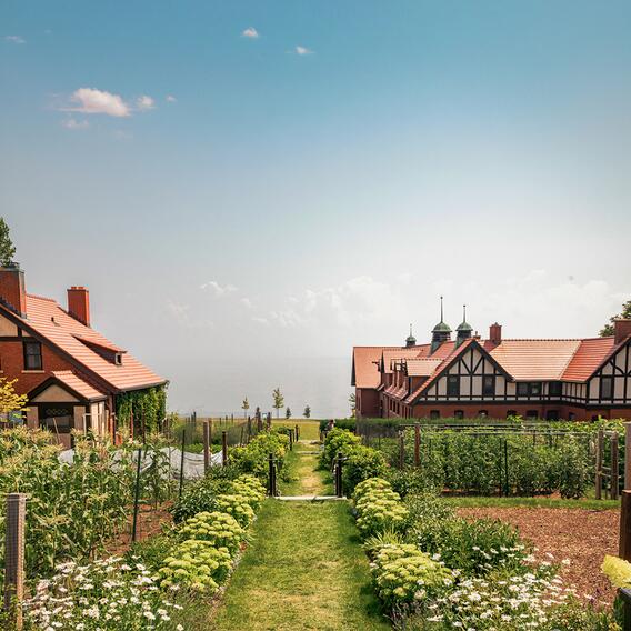 grass path in middle with rows of plants and brick buildings on both sides
