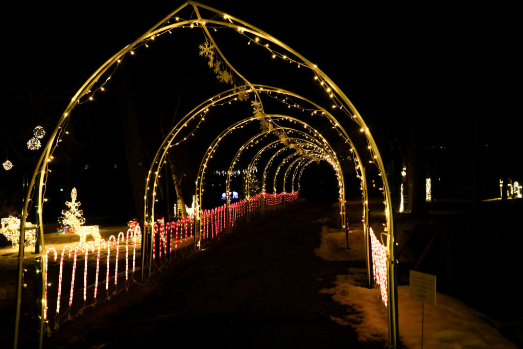 A tunnel of white lights stands over a dark pathway, with red and white lights on trees in the distance in the night sky.