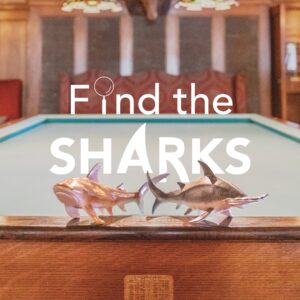 Two sharks sit on a pool table with wood on the side and green felt in the background.