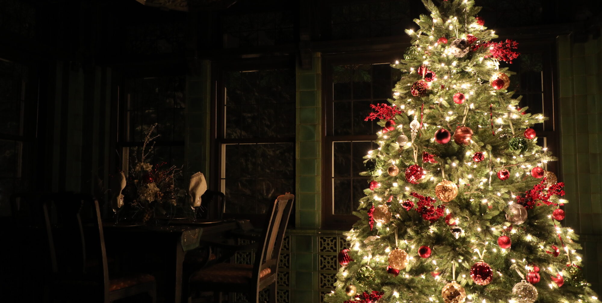A tree lit with white lights and red ornaments and decor stands in front of dark windows in a dark room.
